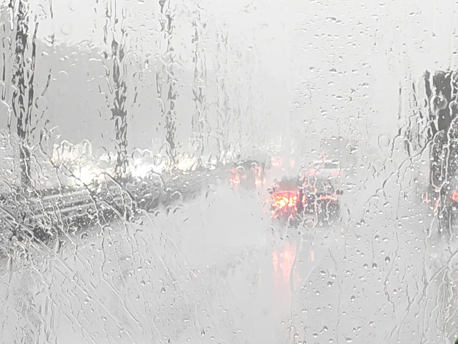 Photo #14232699
