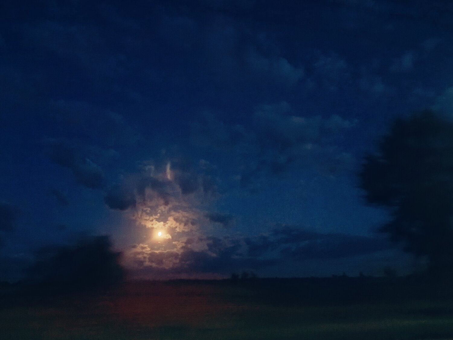Photo #14232758