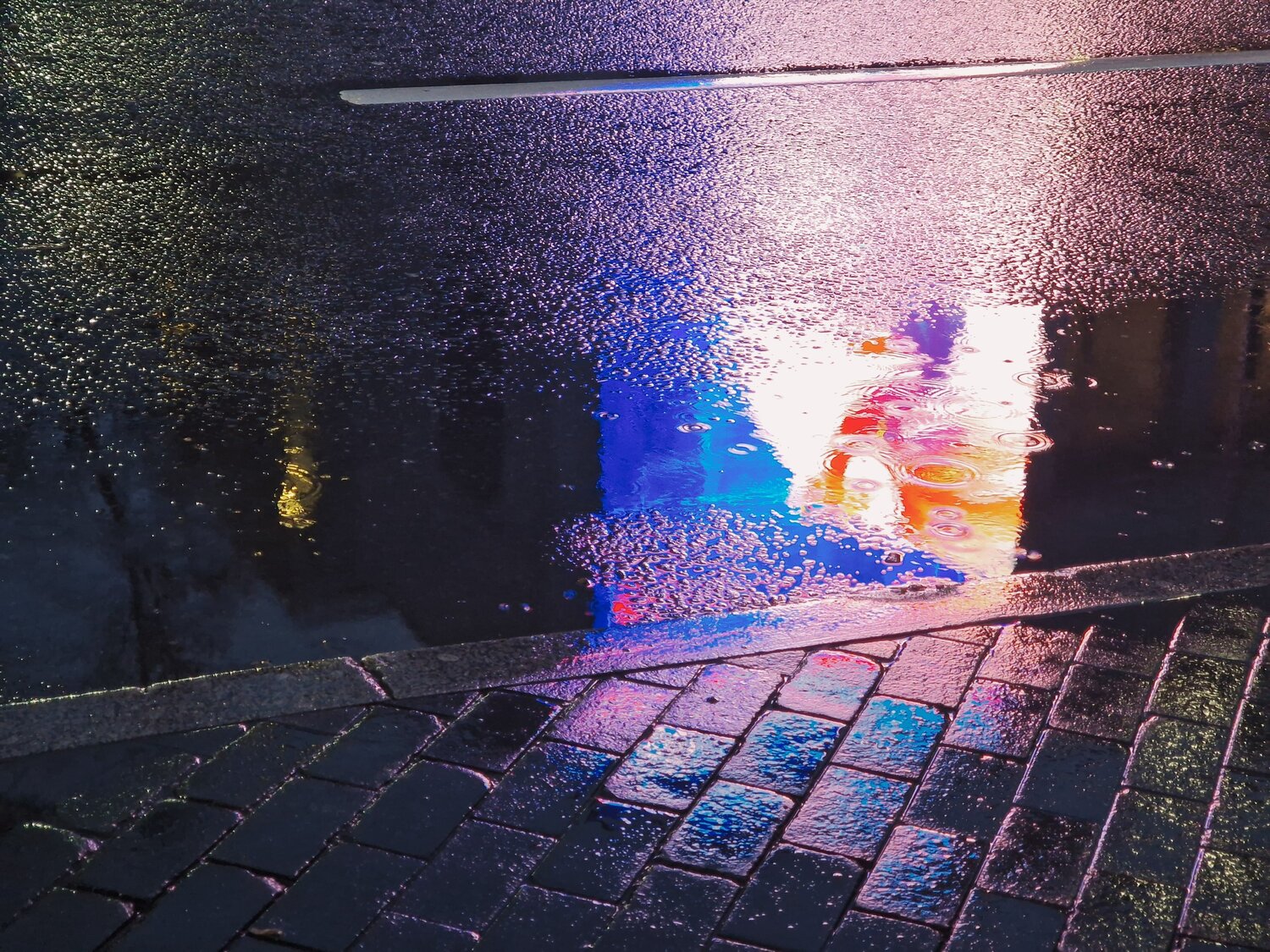 Photo #14232791