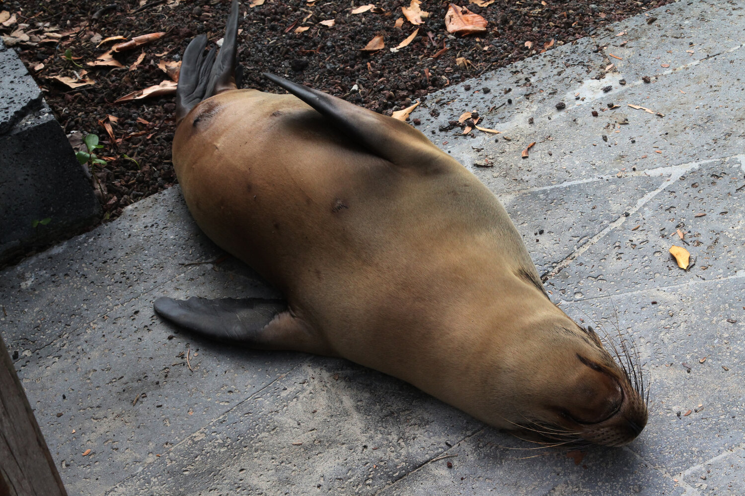 Photo #14232898