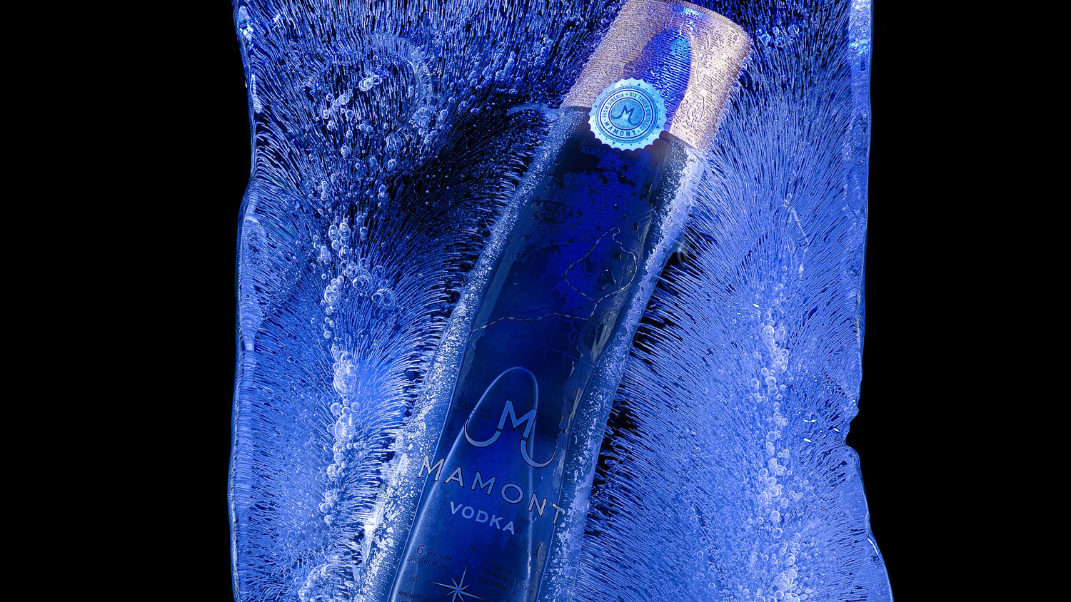Photo #14232942