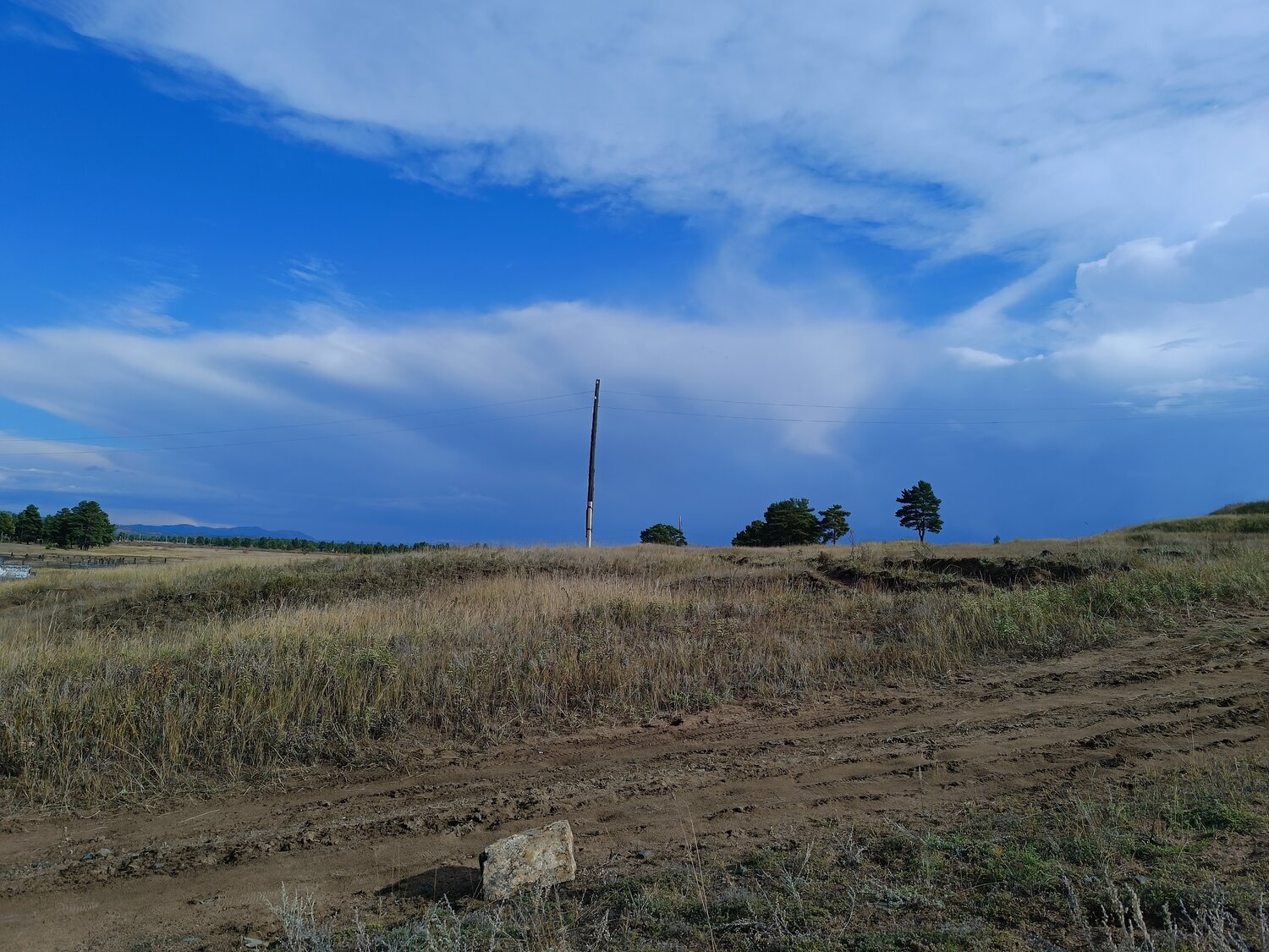 Photo #14233152
