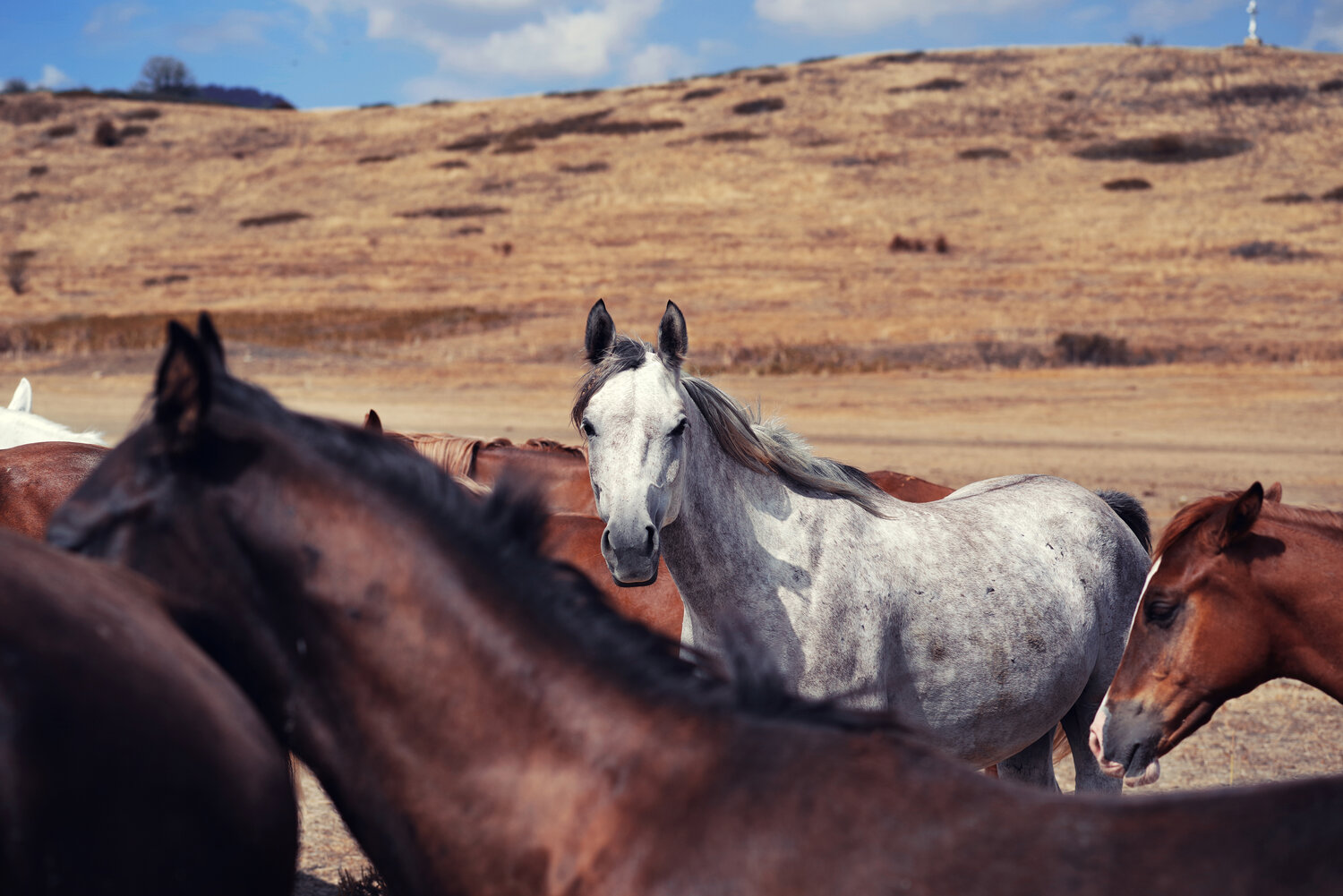 Photo #14233299