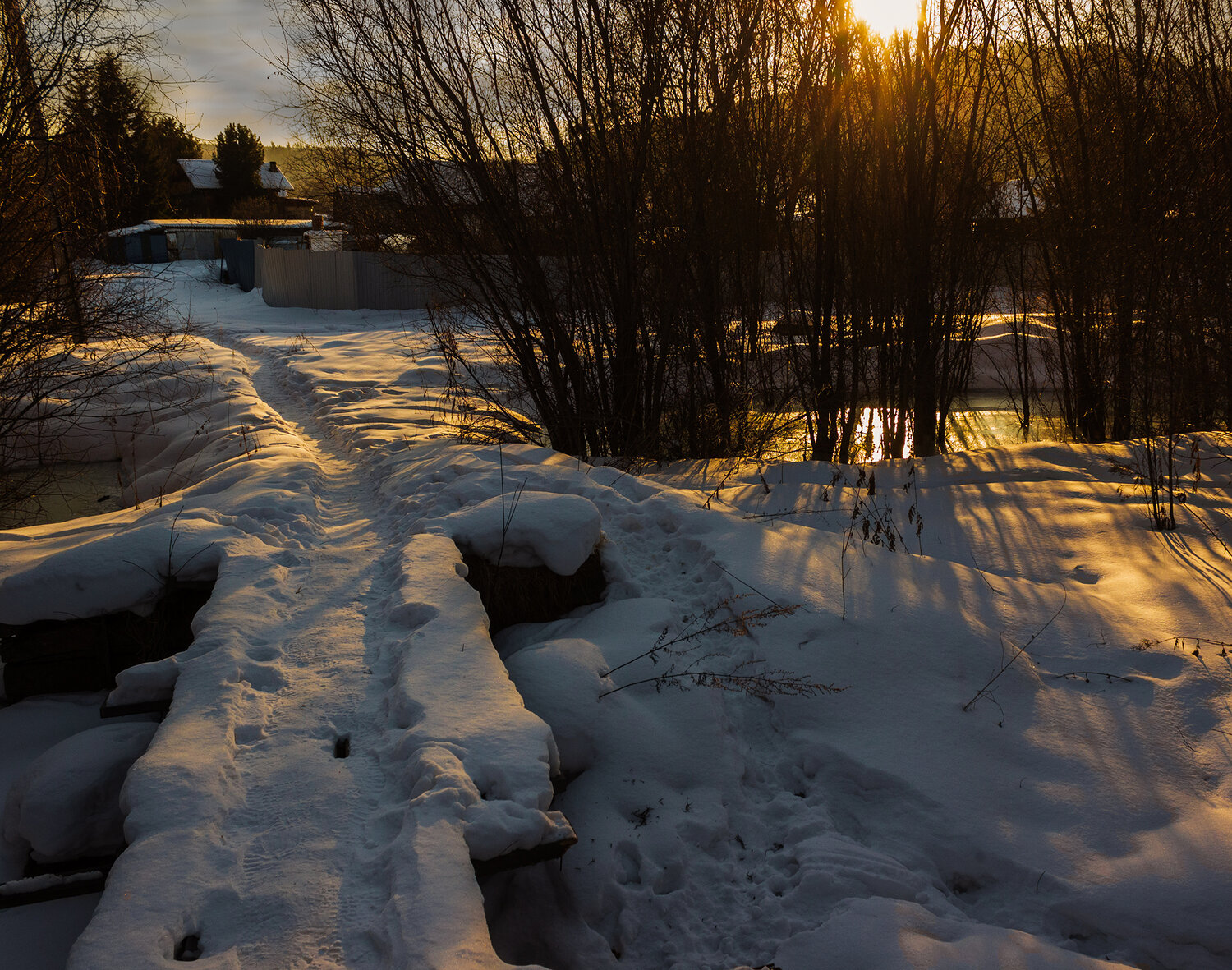 Photo #14233333