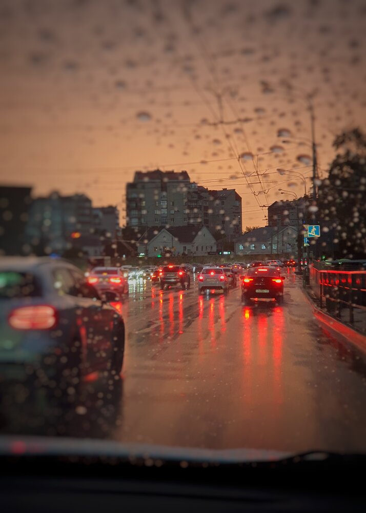 Дорога домой