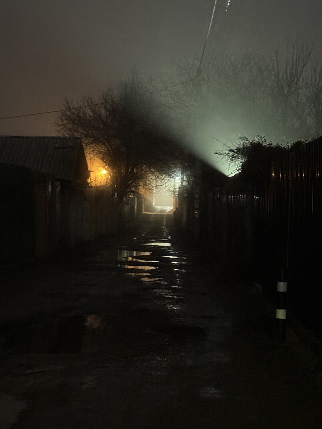 Photo #14233368