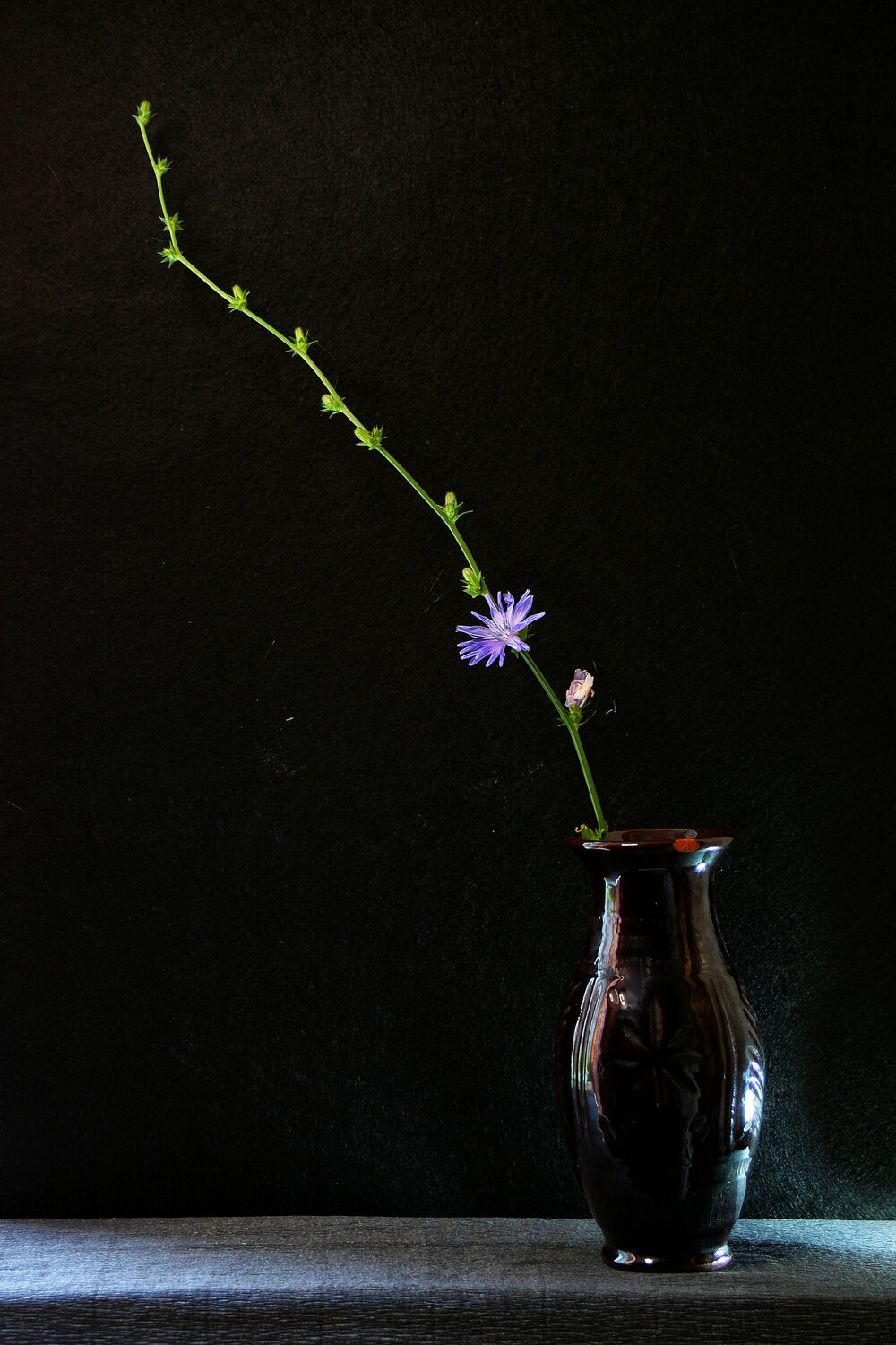 Photo #14233760