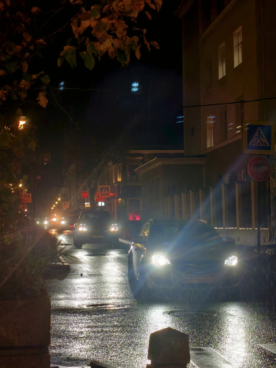 Photo #14233785