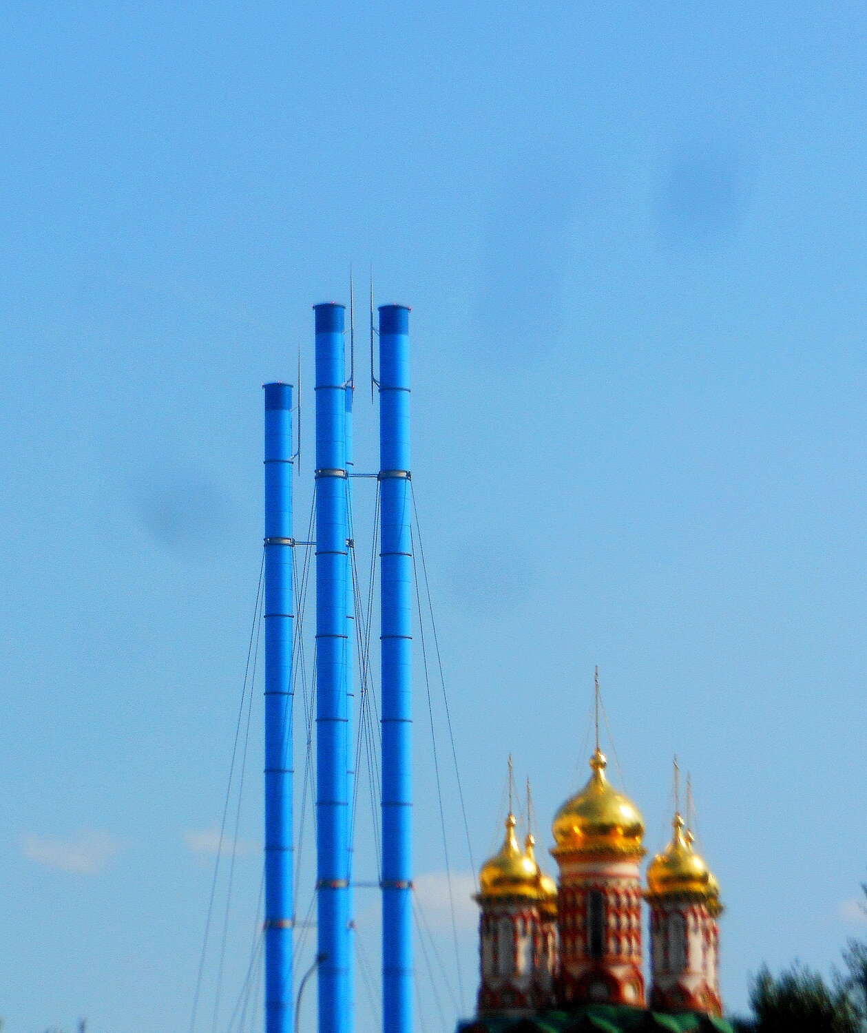 Photo #14233882