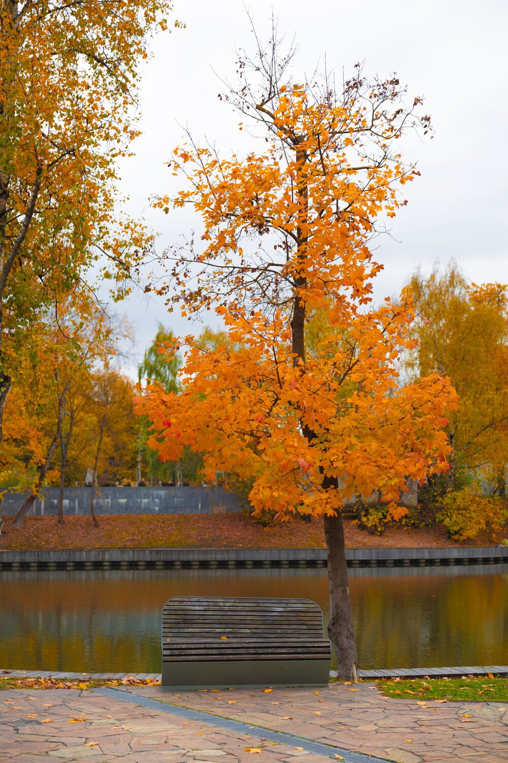 Photo #14234079