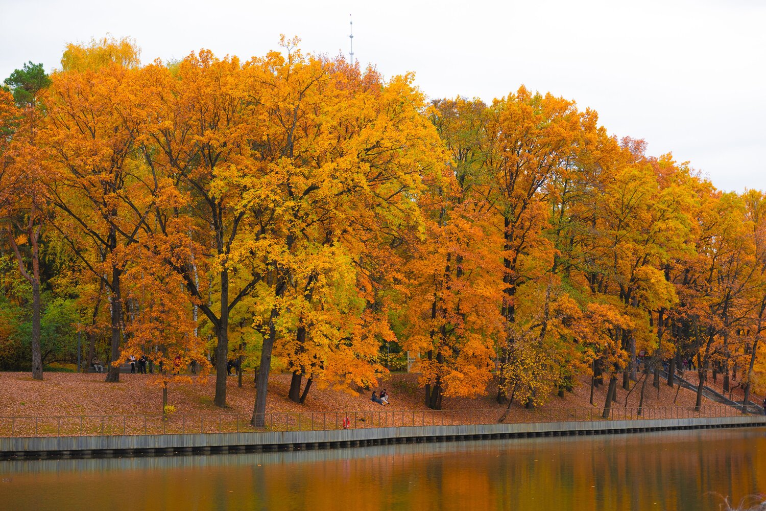 Photo #14234083