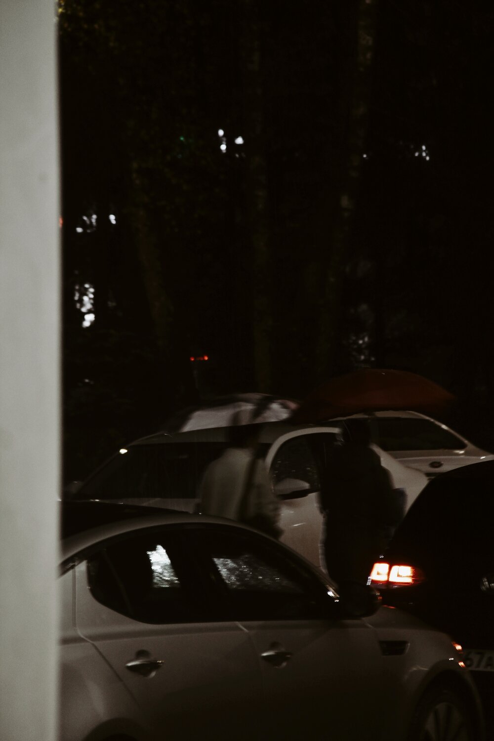 Photo #14234269