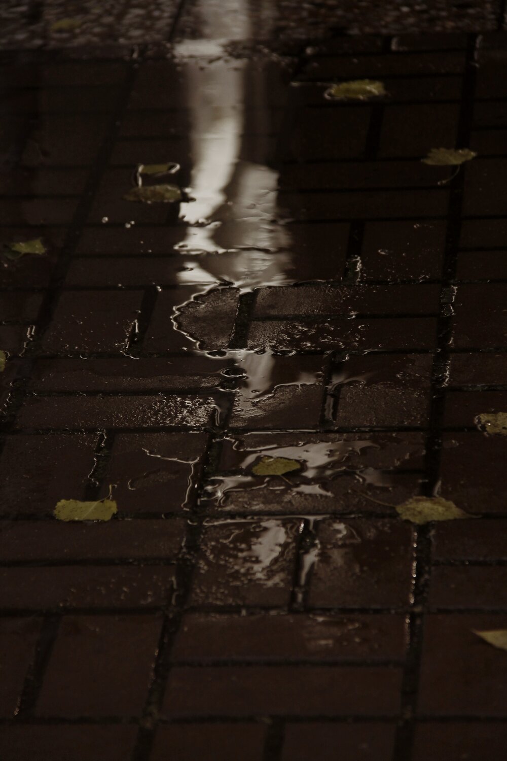 Photo #14234272