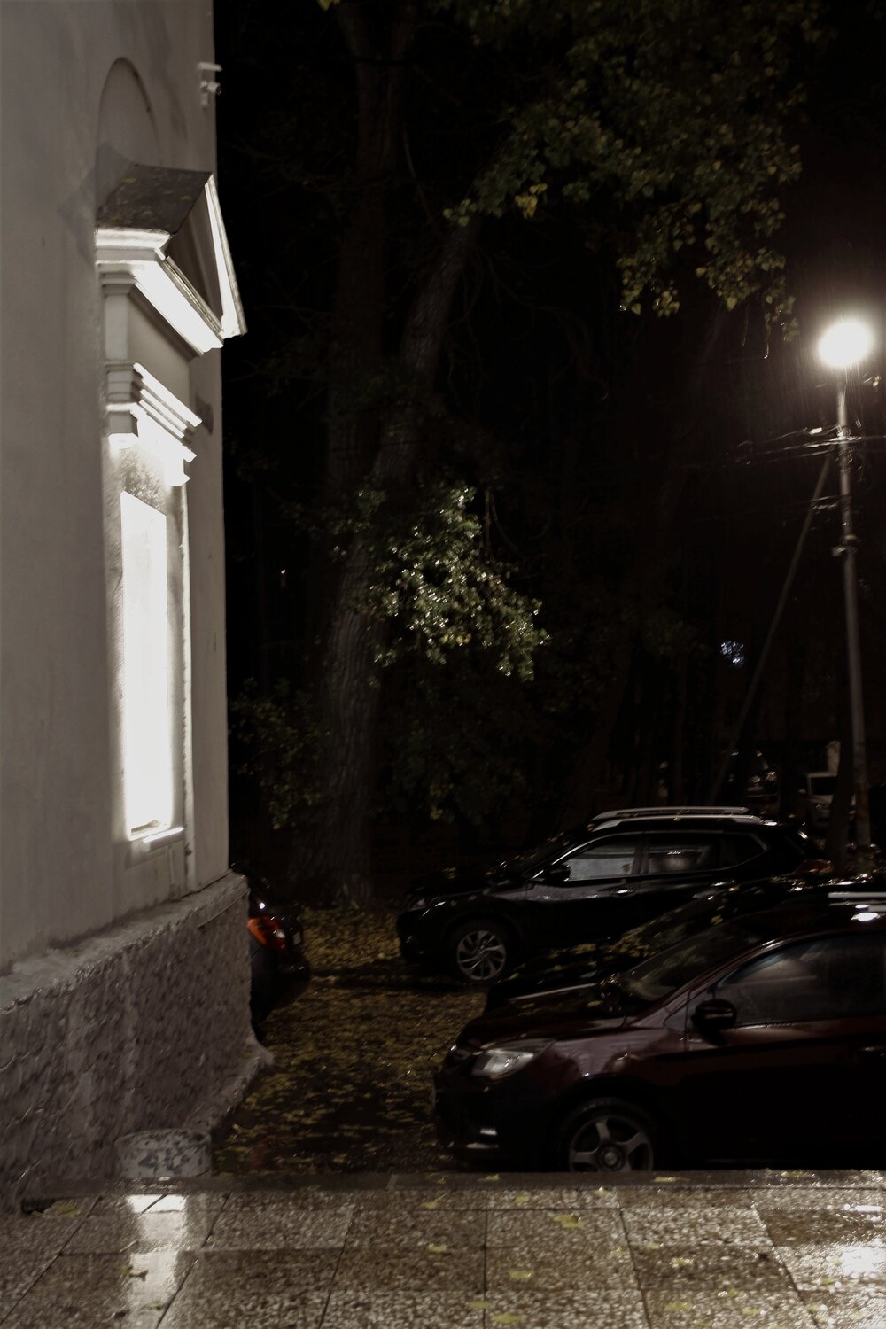 Photo #14234273