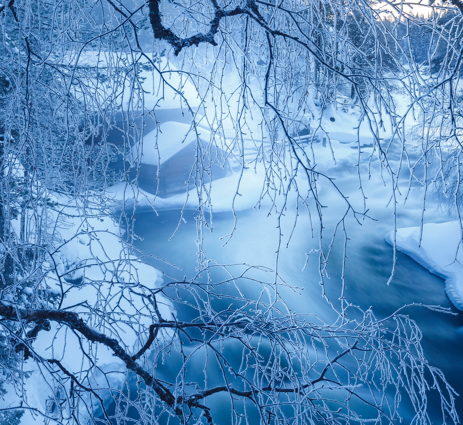 Photo #14234365