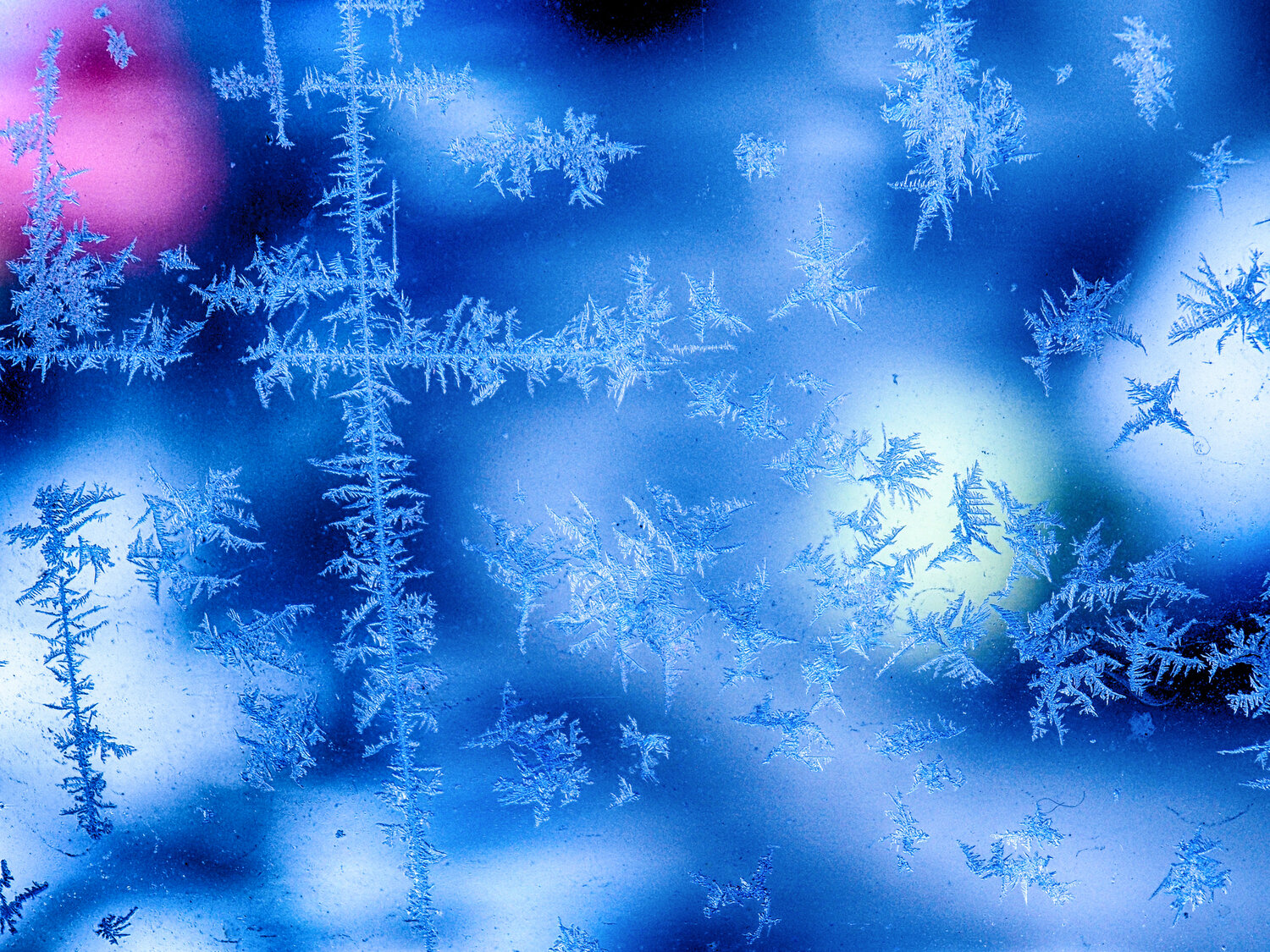 Photo #14234512