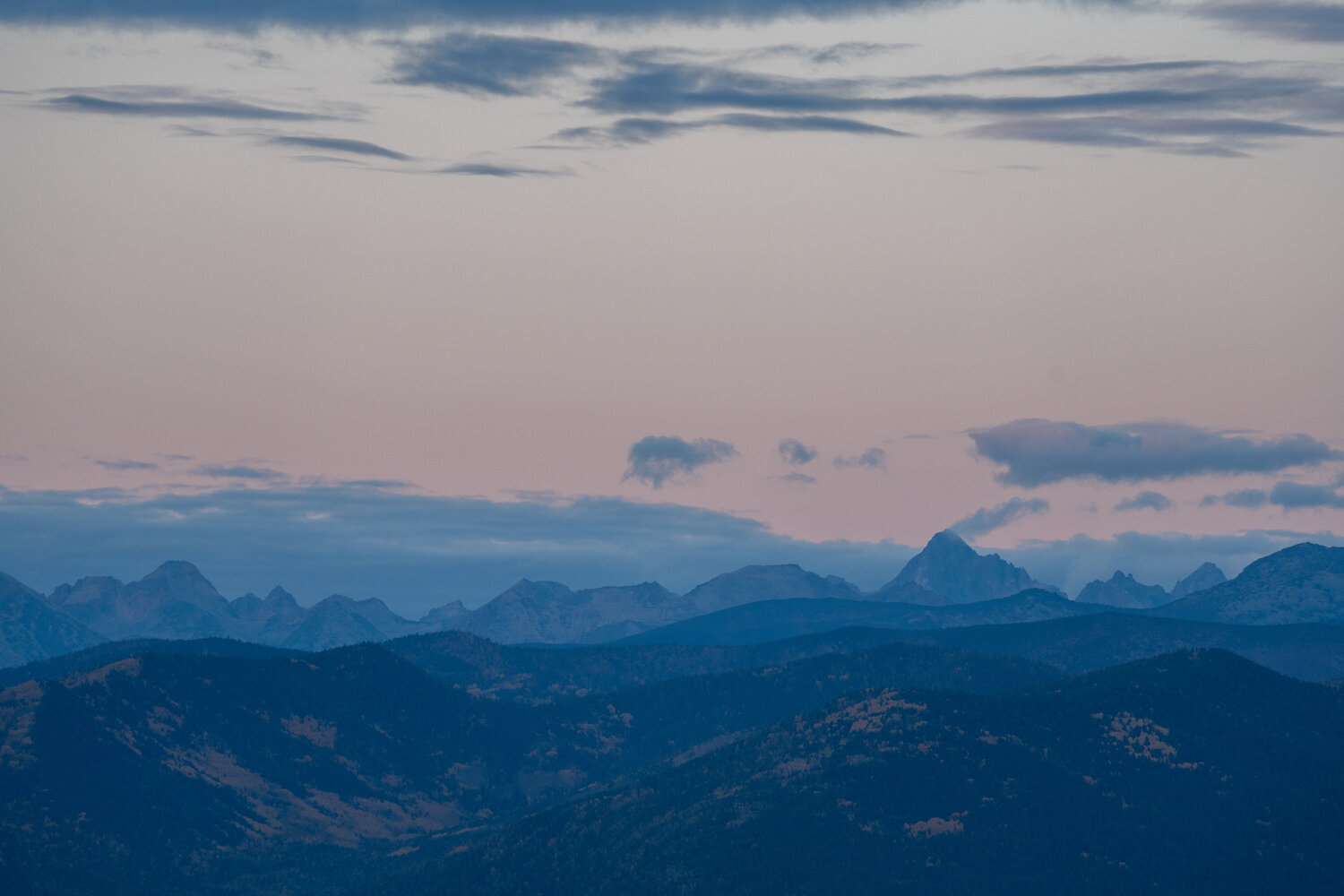 Photo #14234560