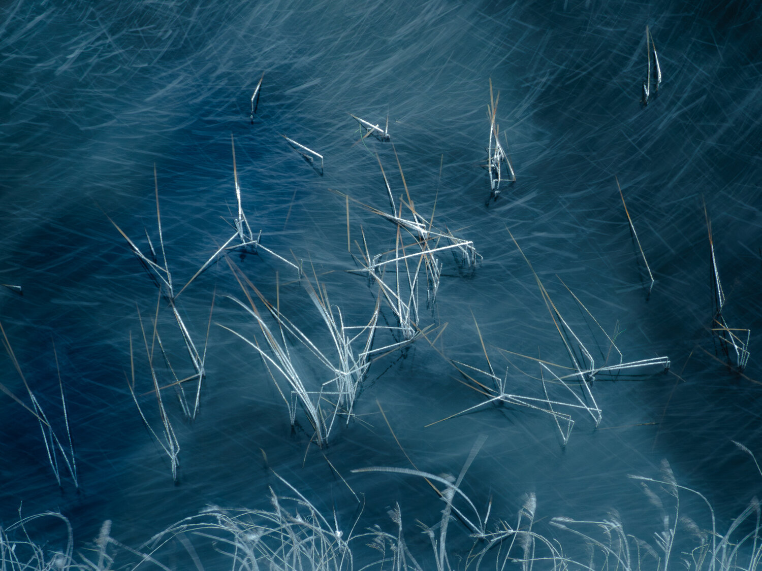 Photo #14234604