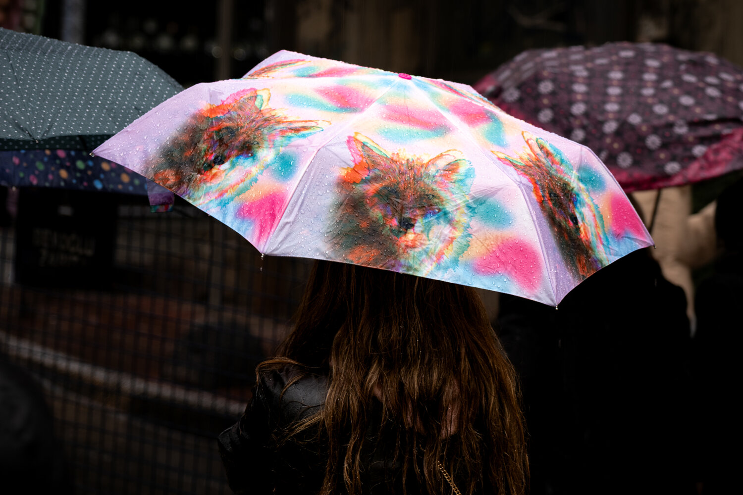 Photo #14234762