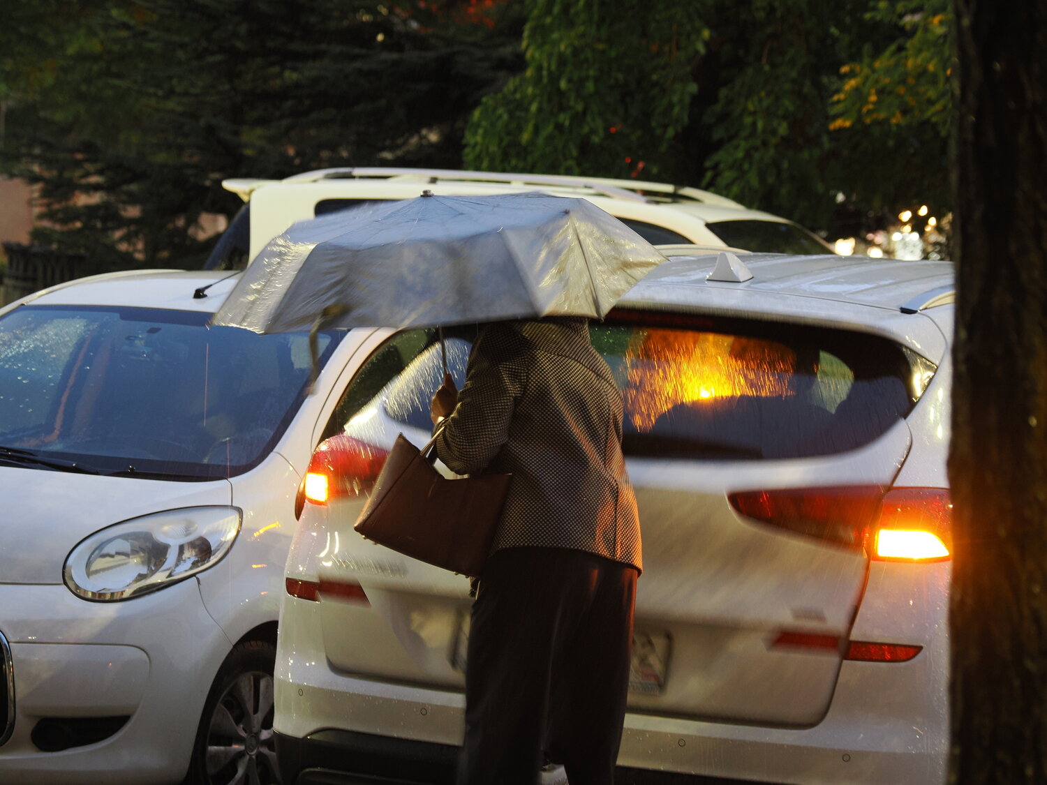 Photo #14234801