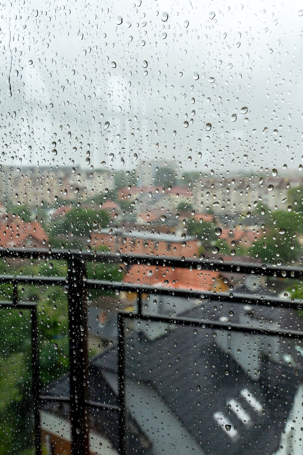 Photo #14234808