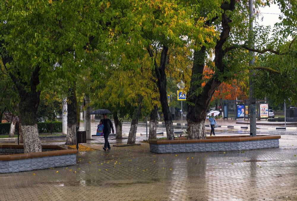 Дождливый день