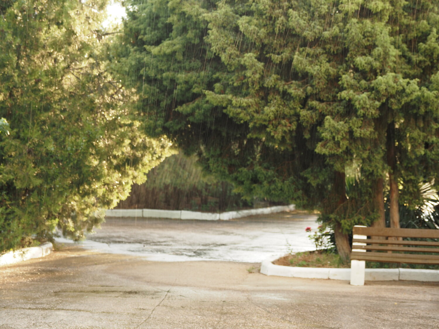 Photo #14235054