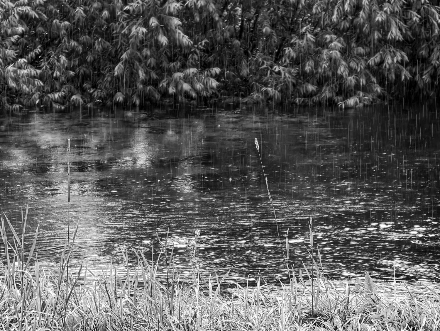 Photo #14235067