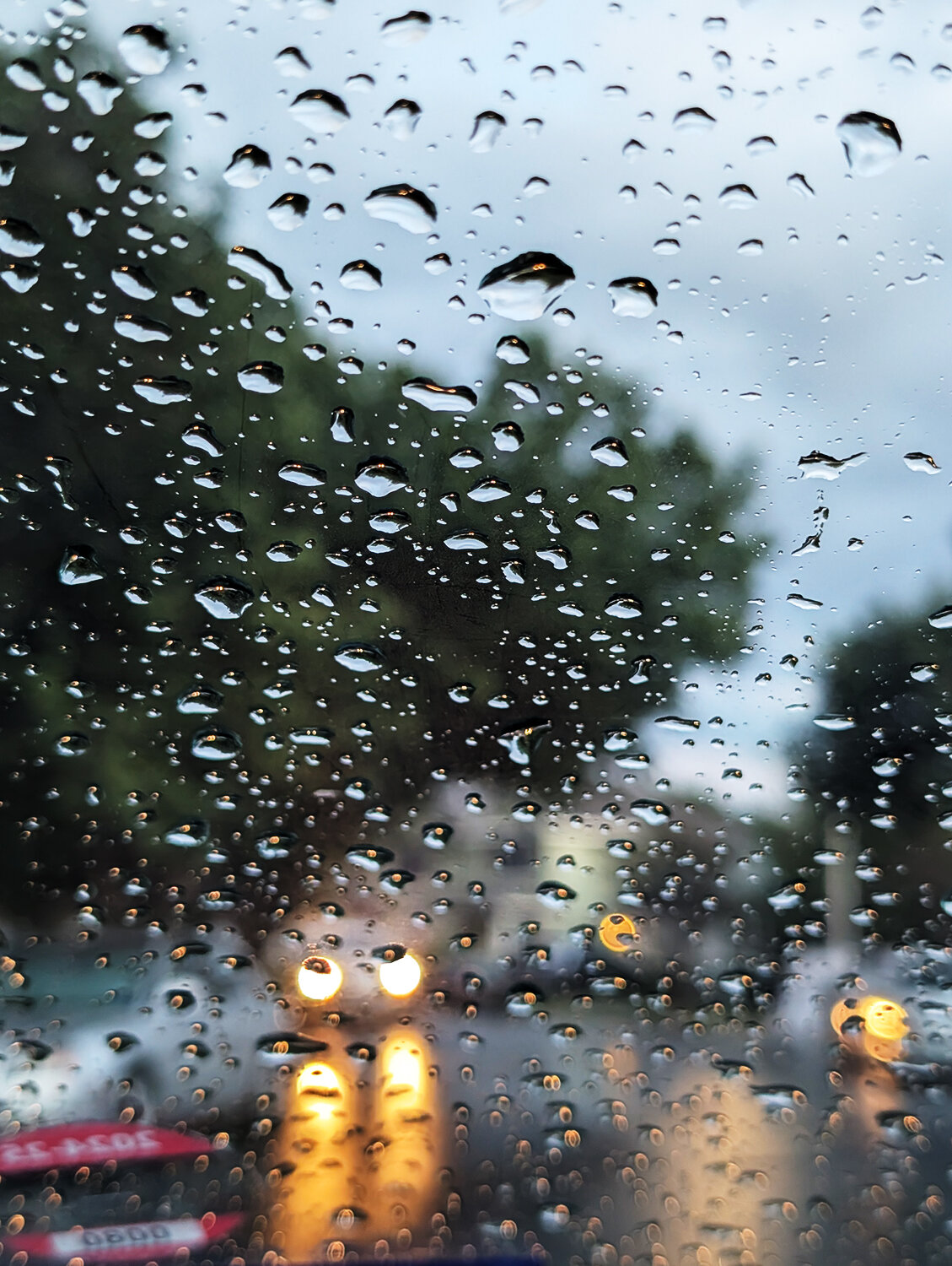 Photo #14235074