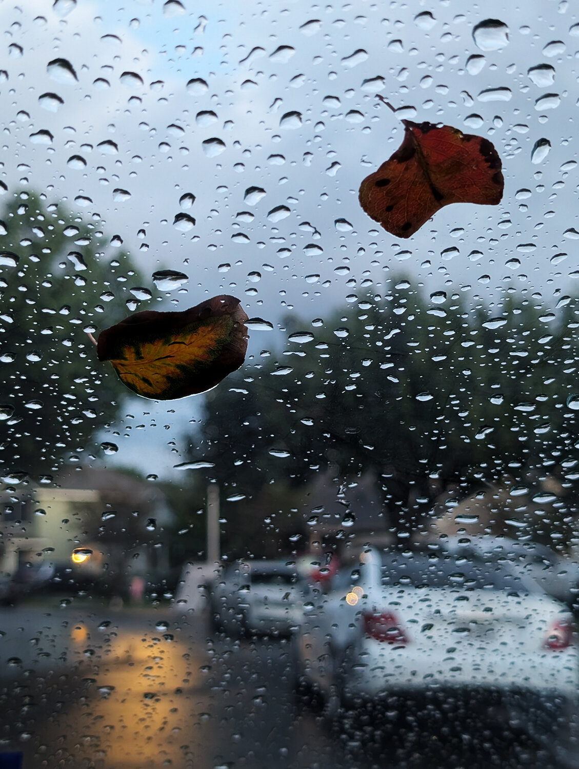 Photo #14235081