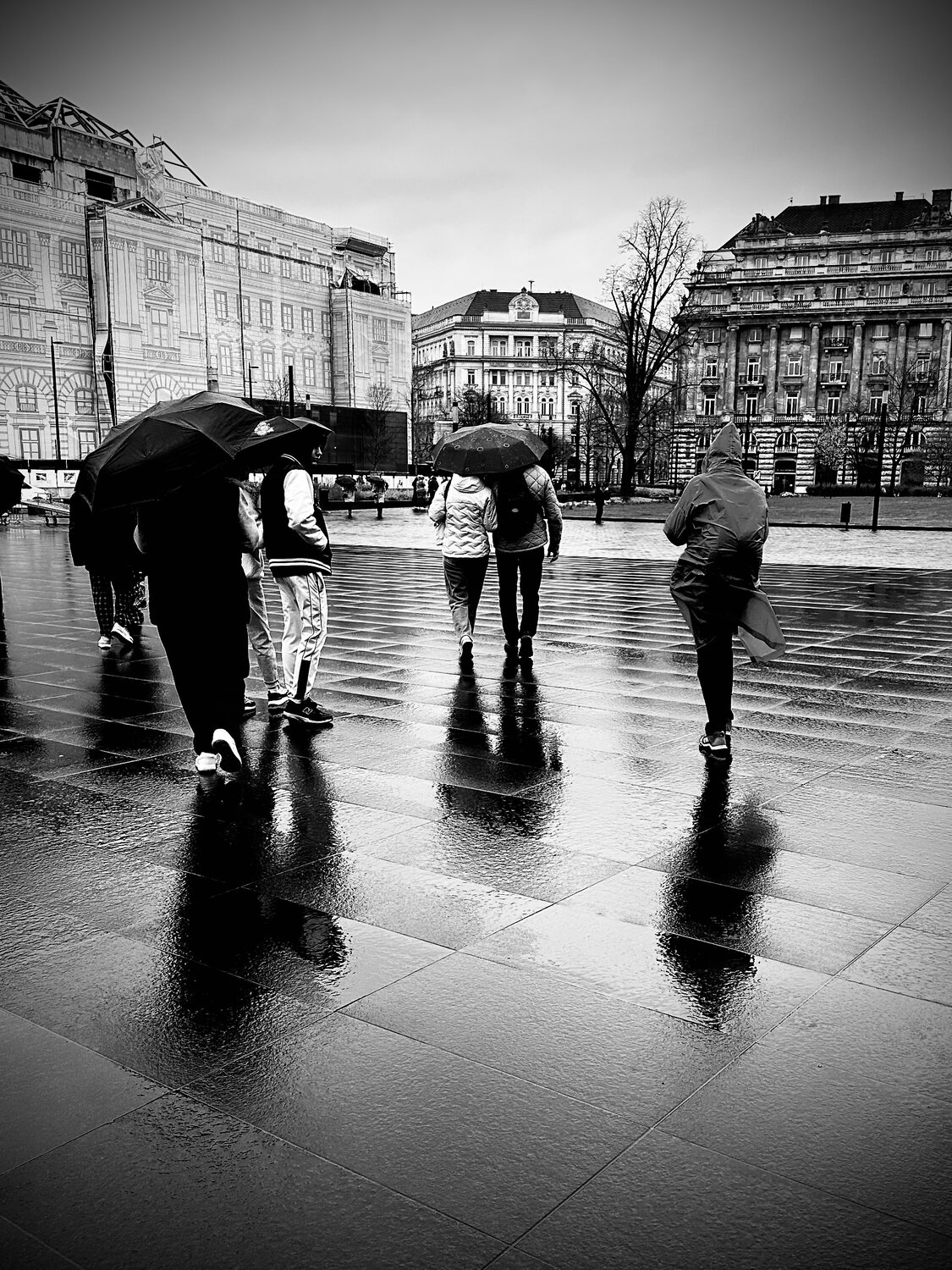 Photo #14235093
