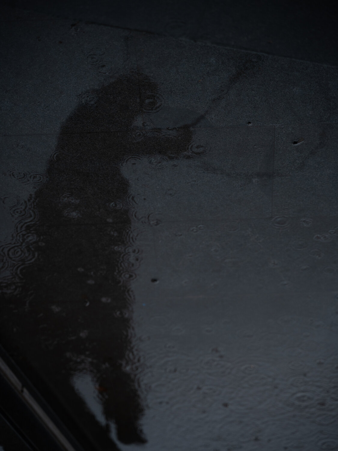 Photo #14235179