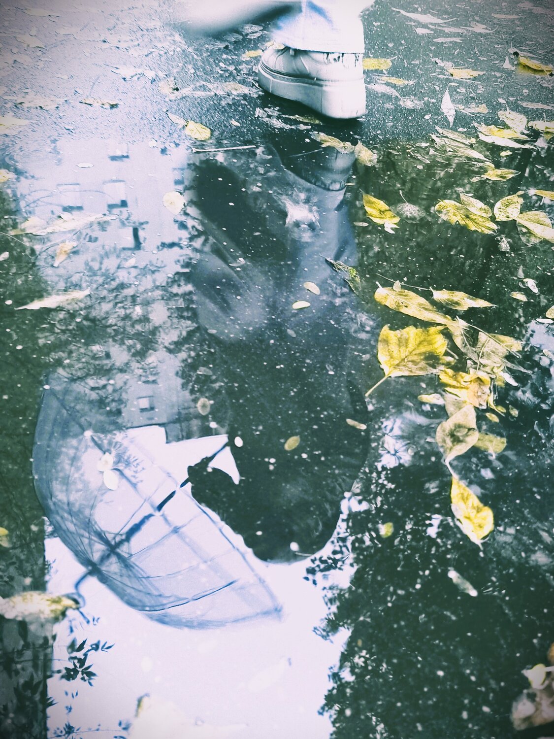 Фотография #14235221