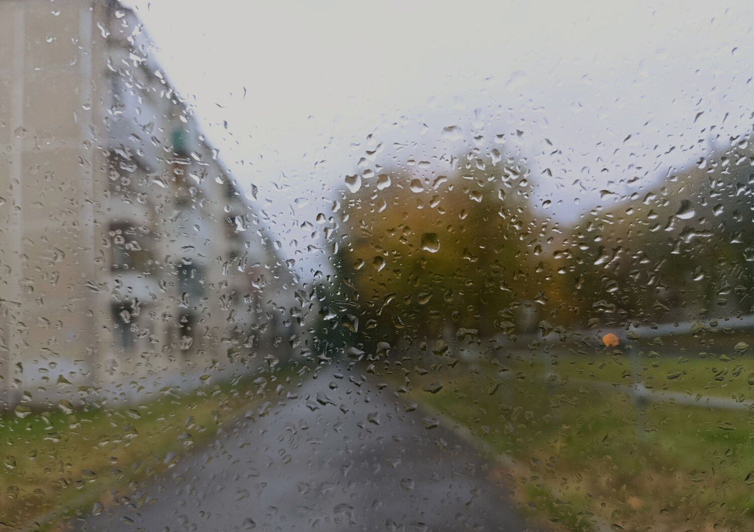 Photo #14235379