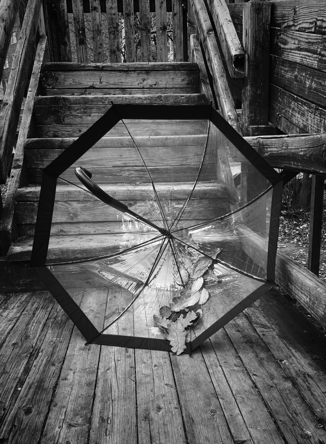 Photo #14235389