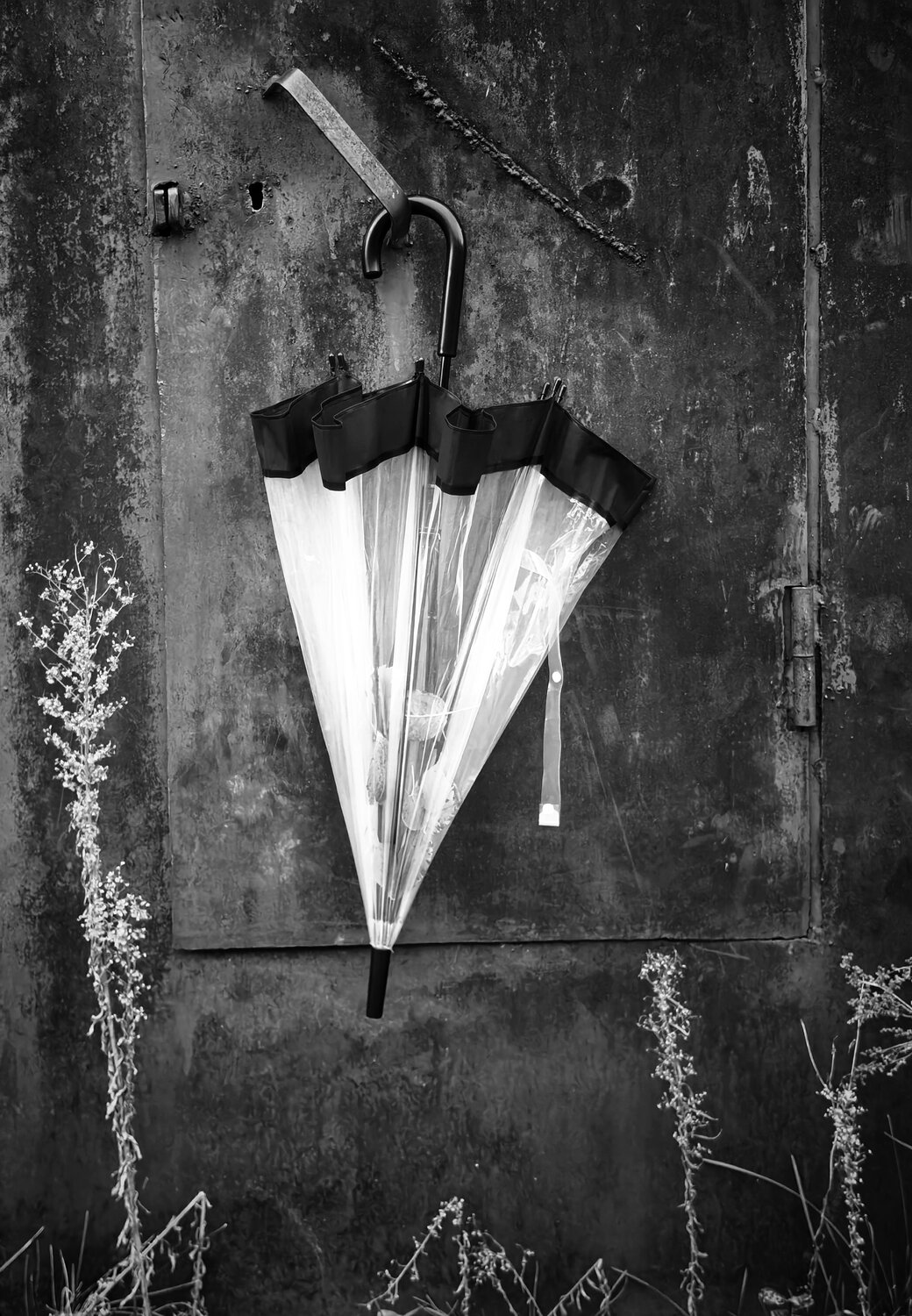 Photo #14235410
