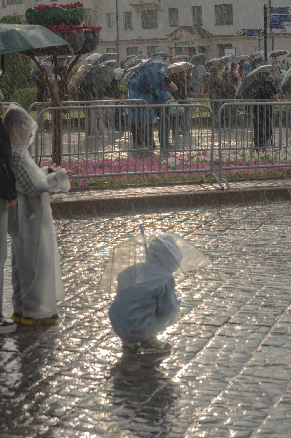 Photo #14235461