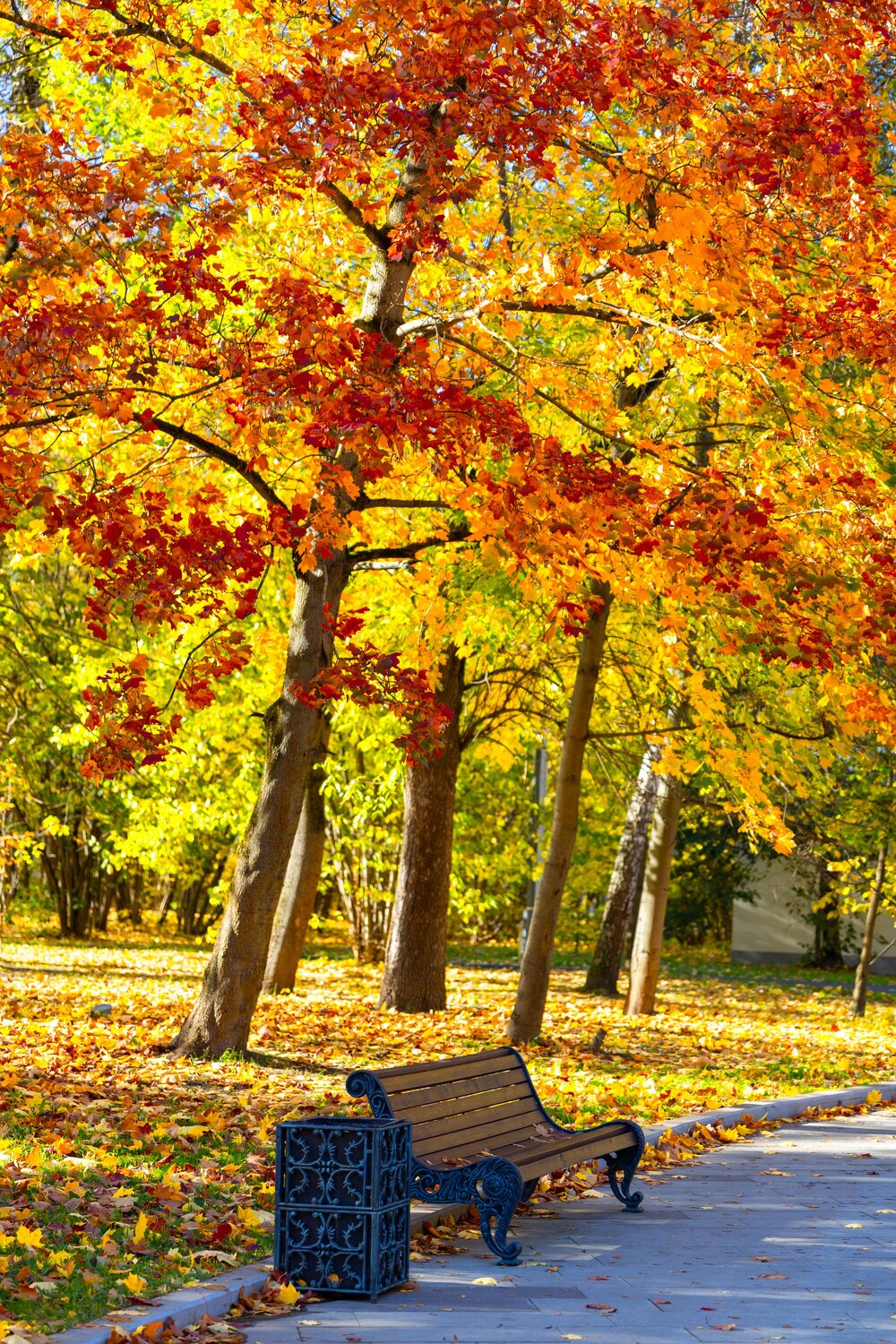 Photo #14235552