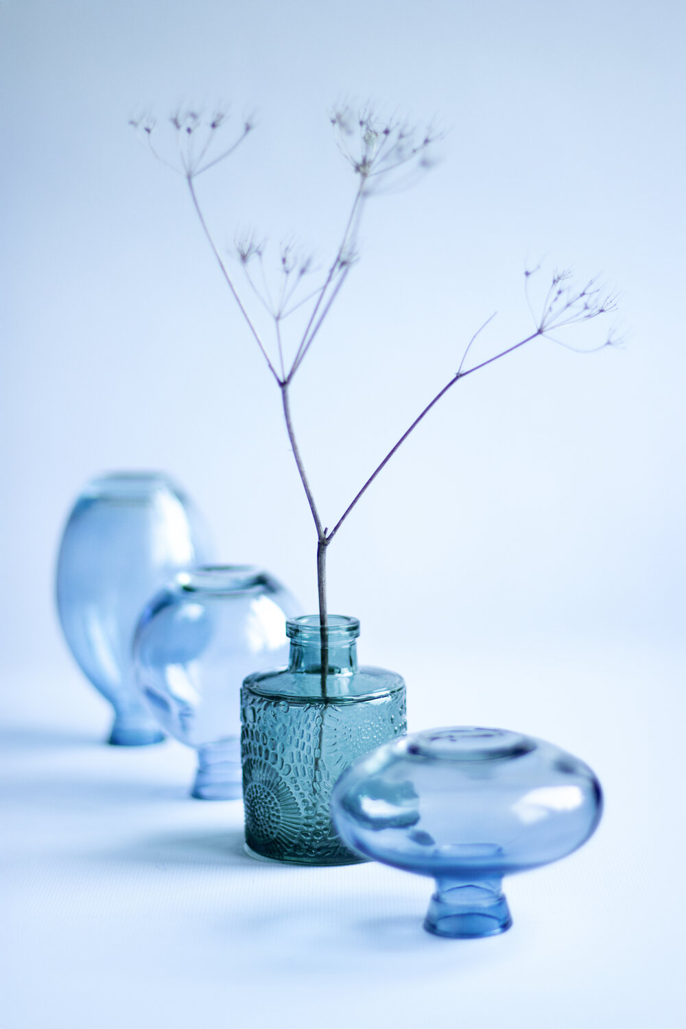 Photo #14235684
