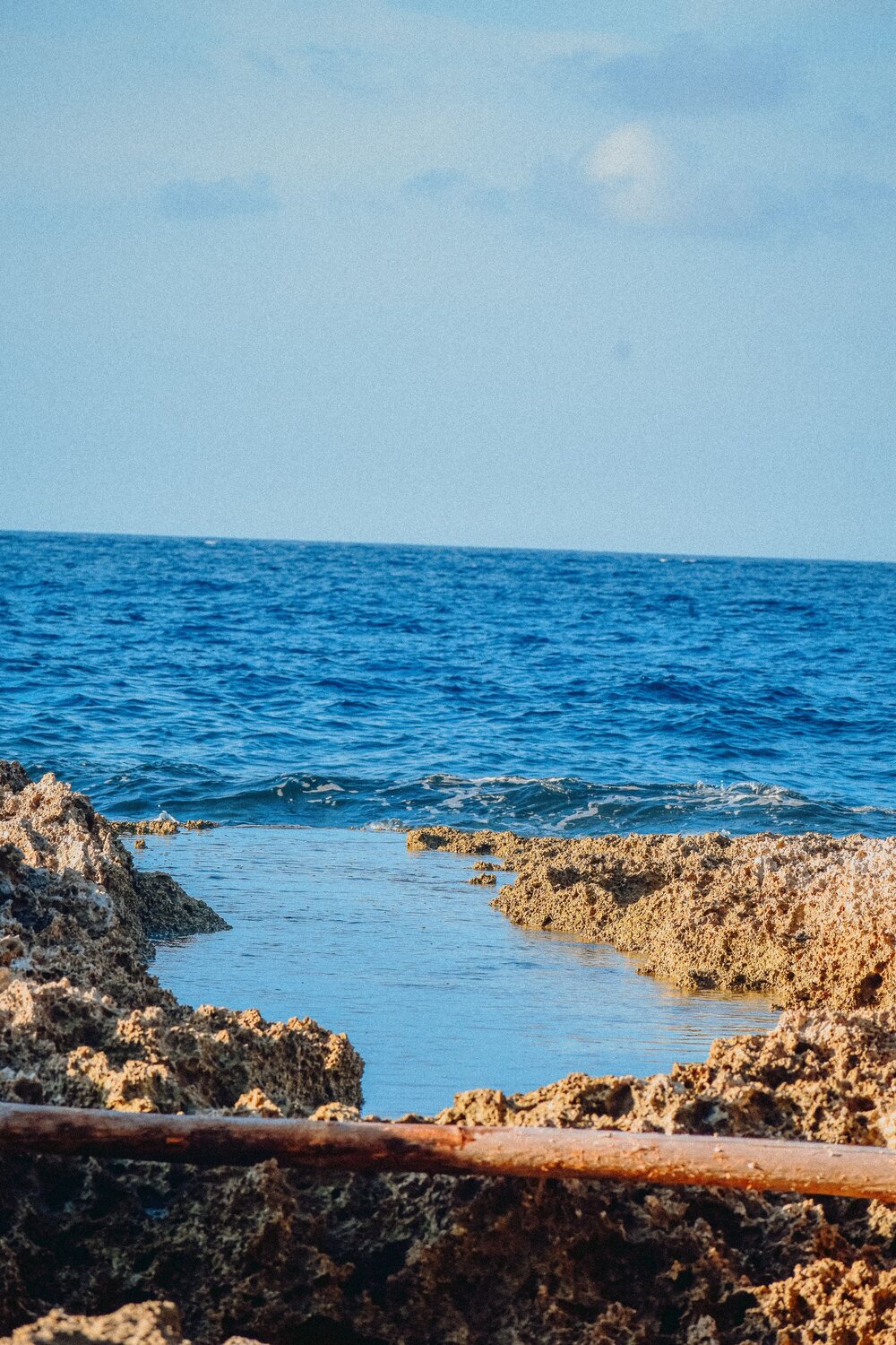 Photo #14235872