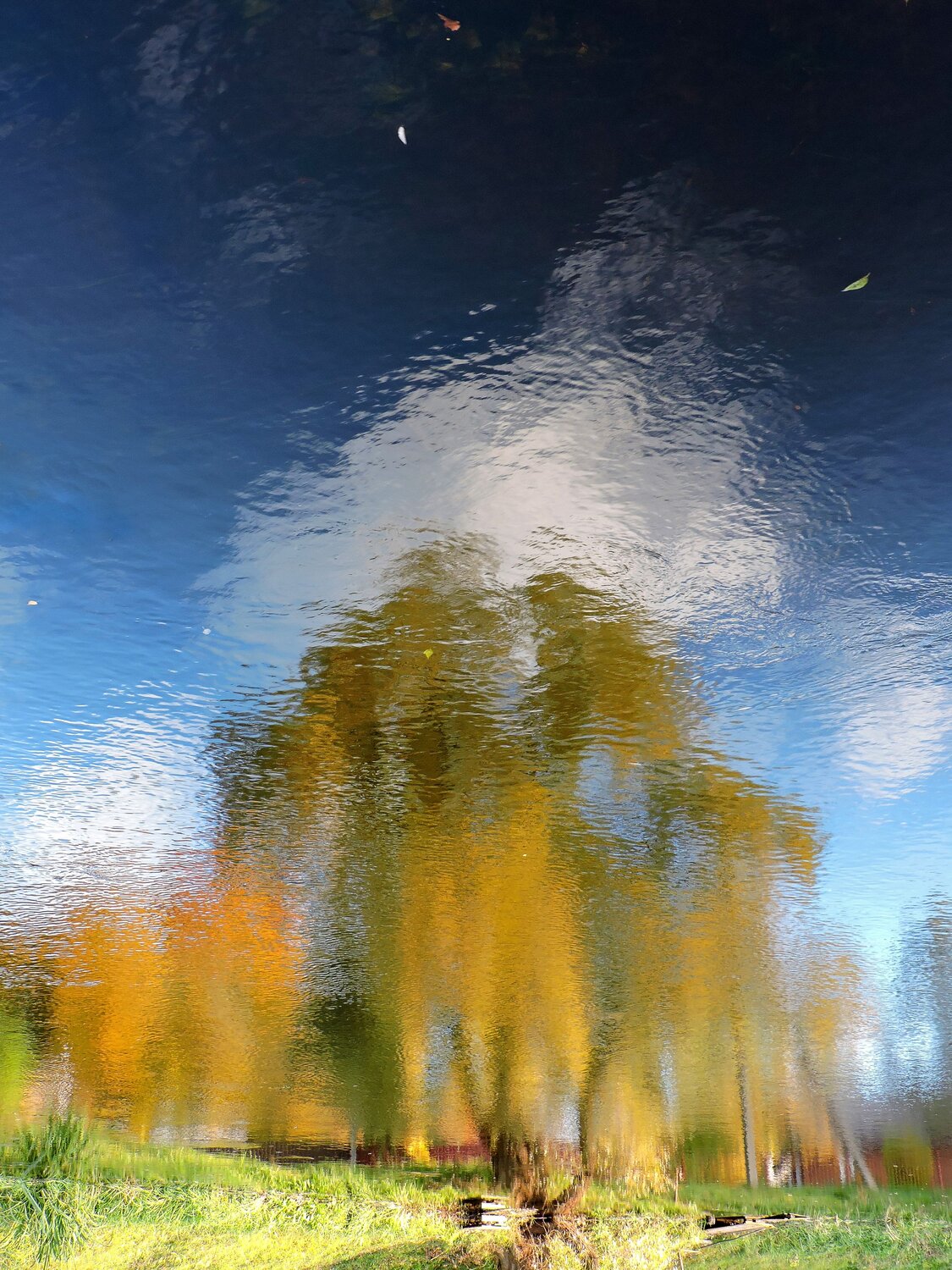 Осень в Зазеркалье / Autumn in Looking-Glass