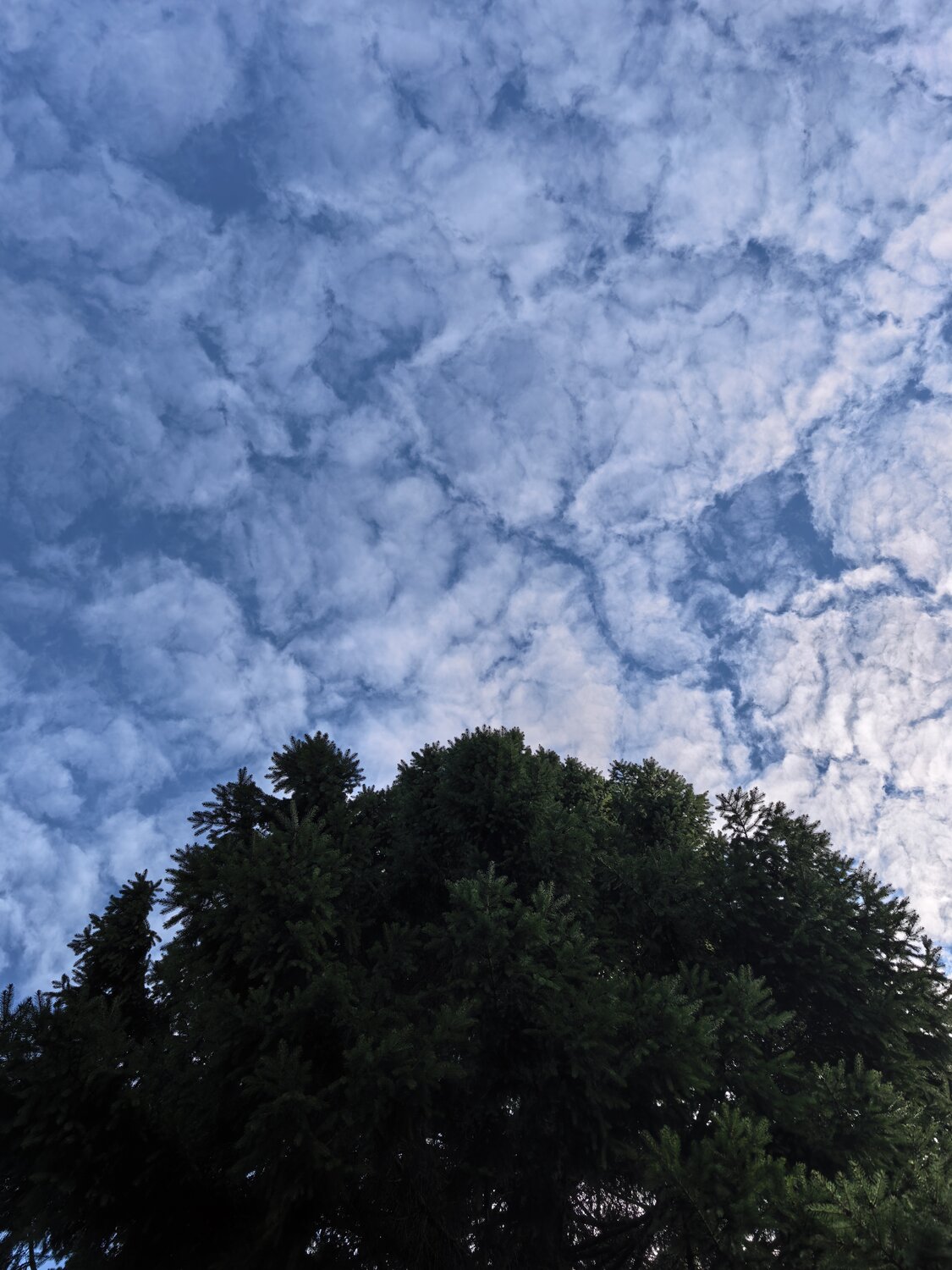 Photo #14236626
