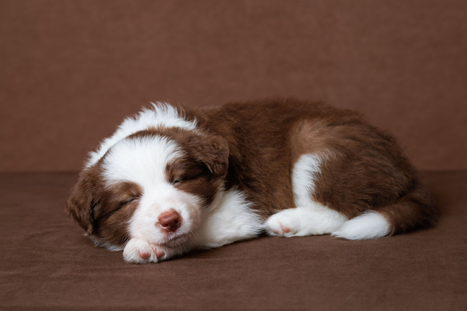 Photo #14236719