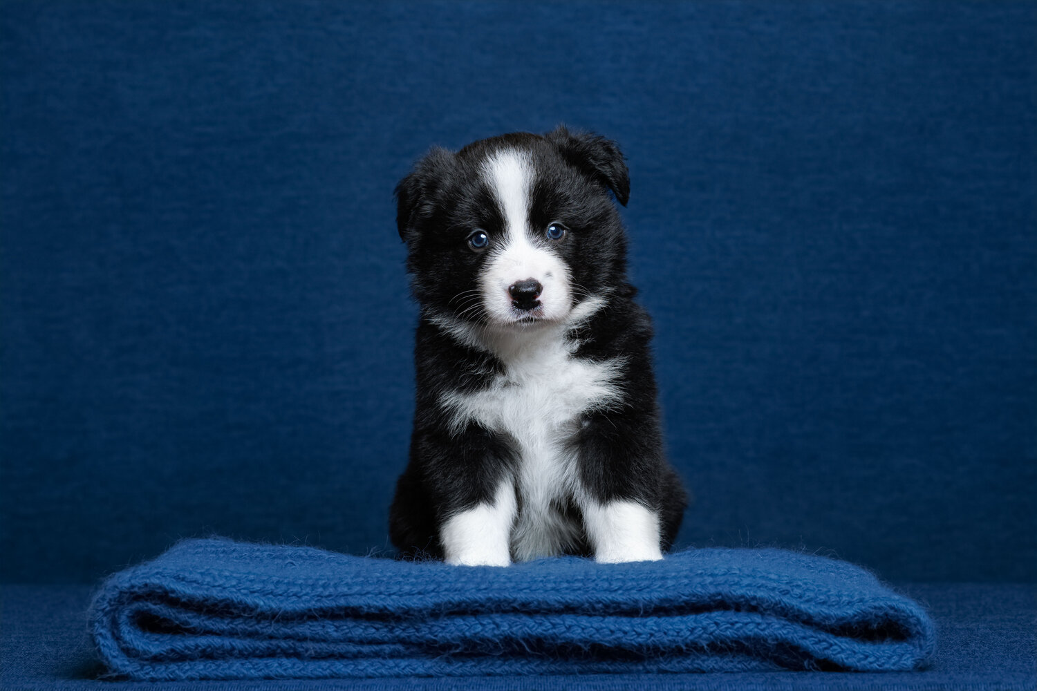 Photo #14237079