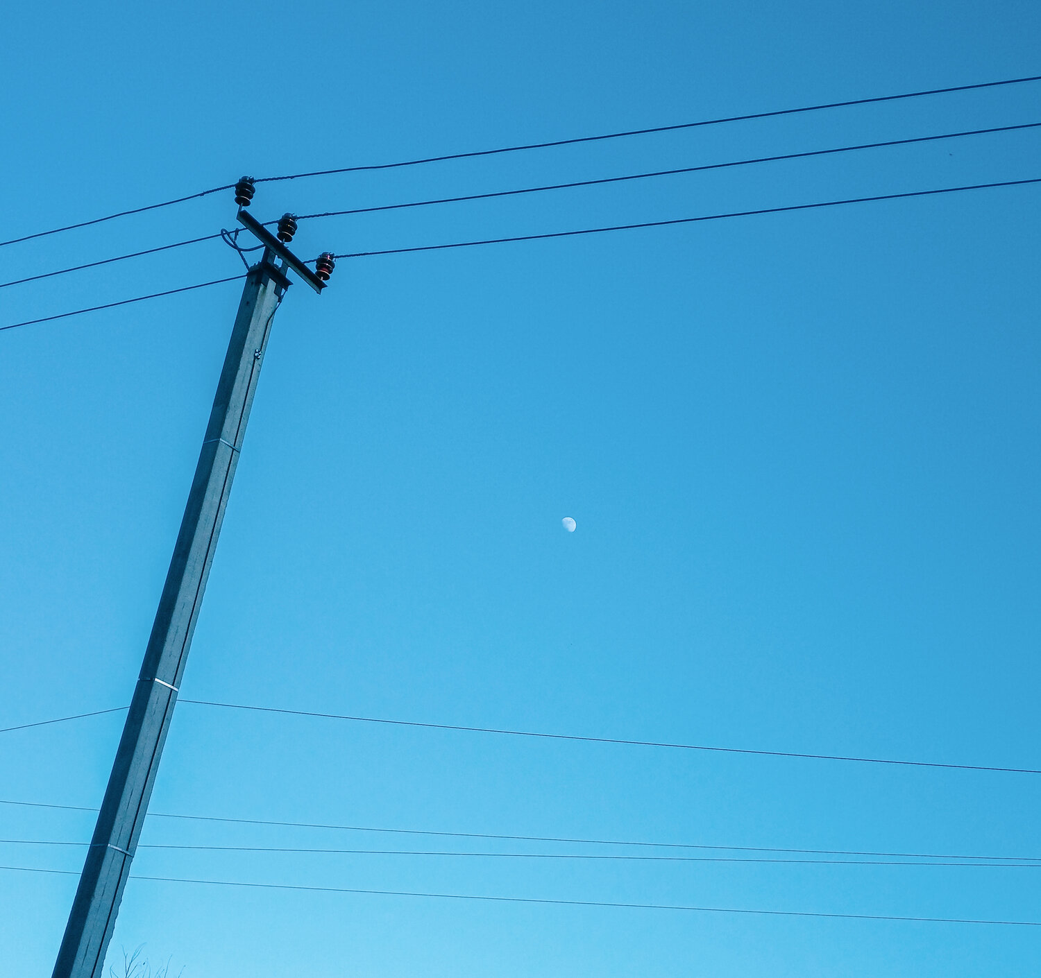 Photo #14238342
