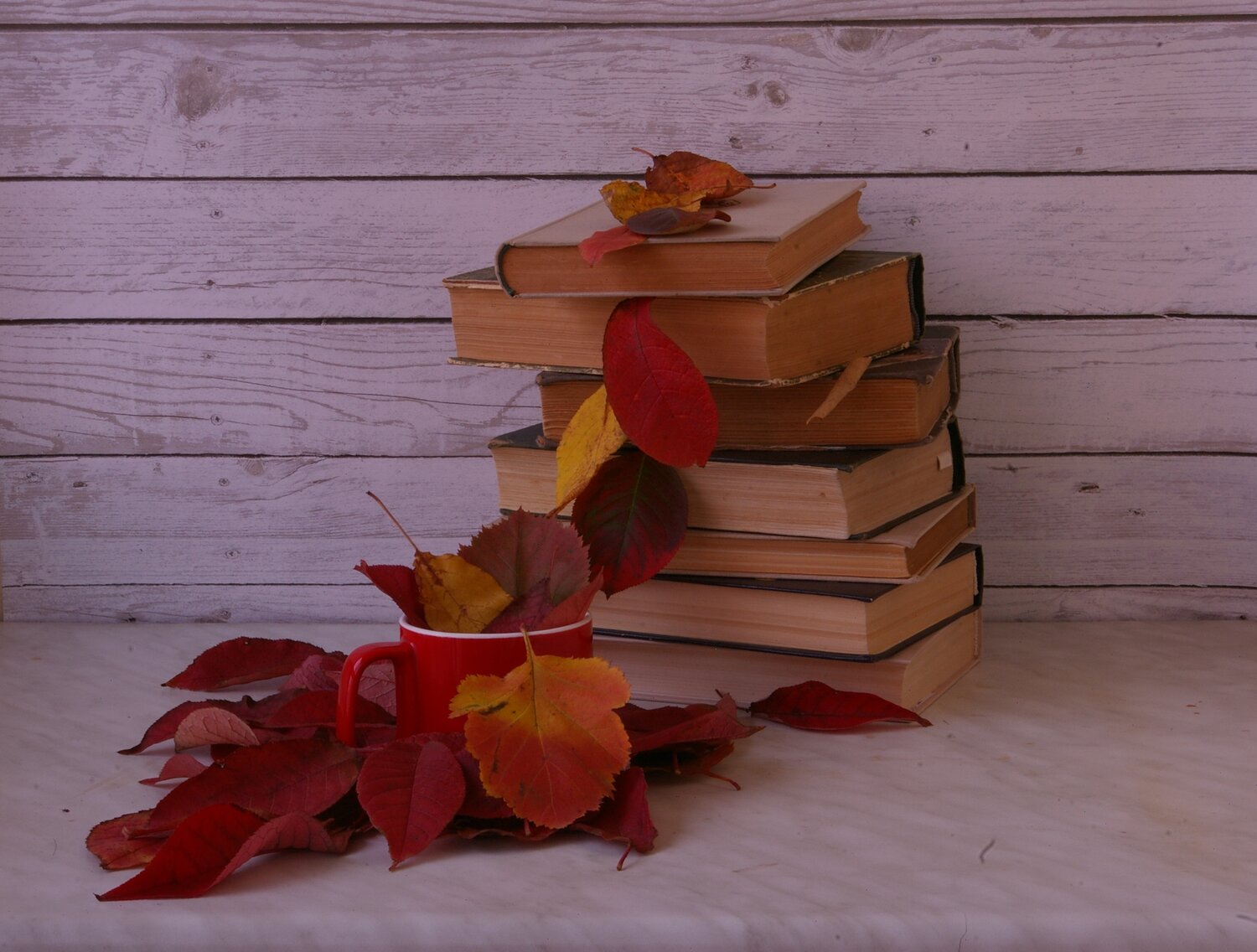 Photo #14238412