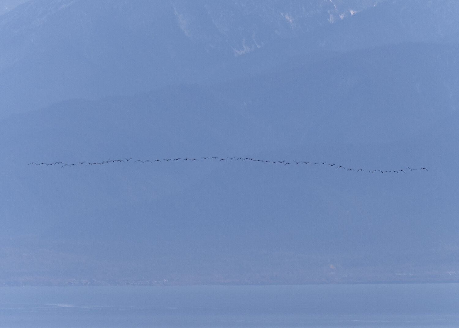 Photo #14238703