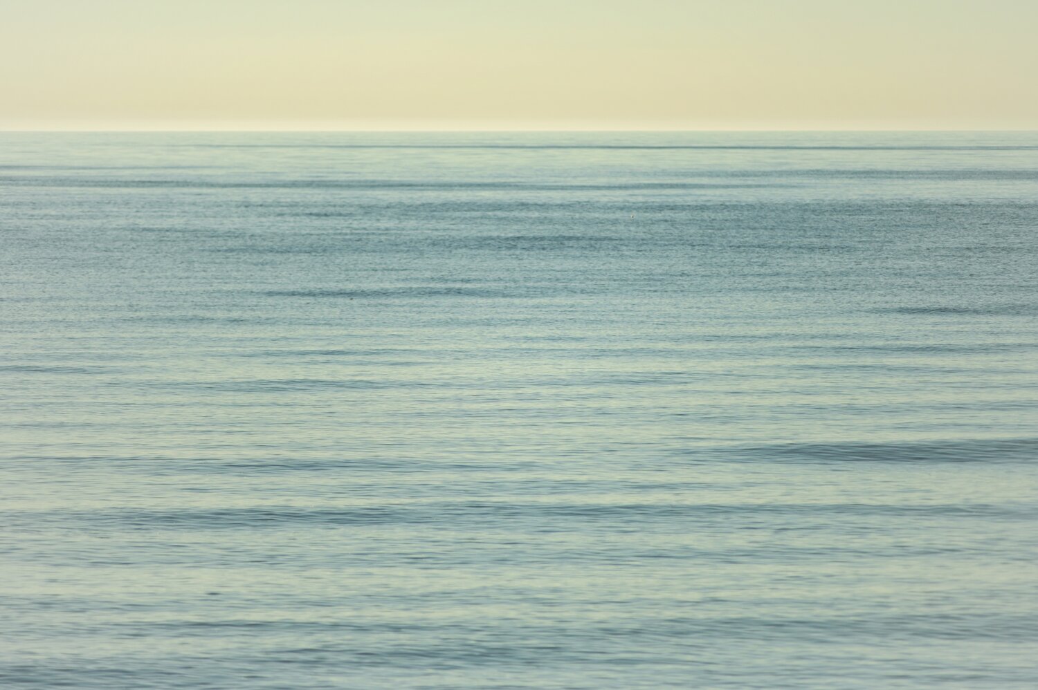 Photo #14238944