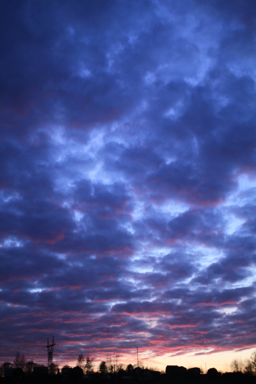 Photo #14239774