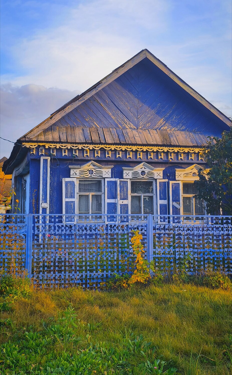 Фотография #14239947
